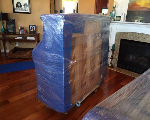 Lincoln Park Furniture Movers